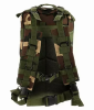 Tactical Military 25L Molle Backpack